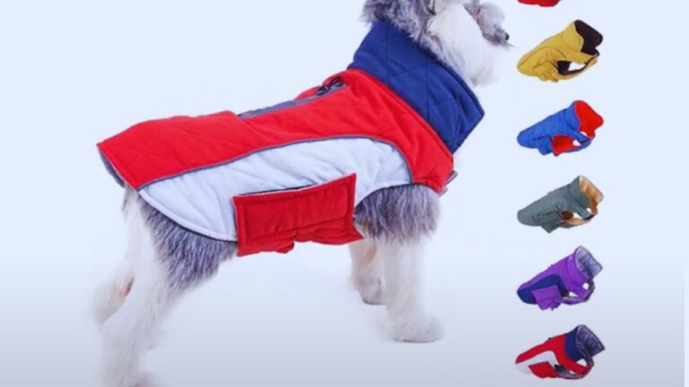 Warm Dog Coat - 4 Best Winter Dog Coats to Buy in 2024.