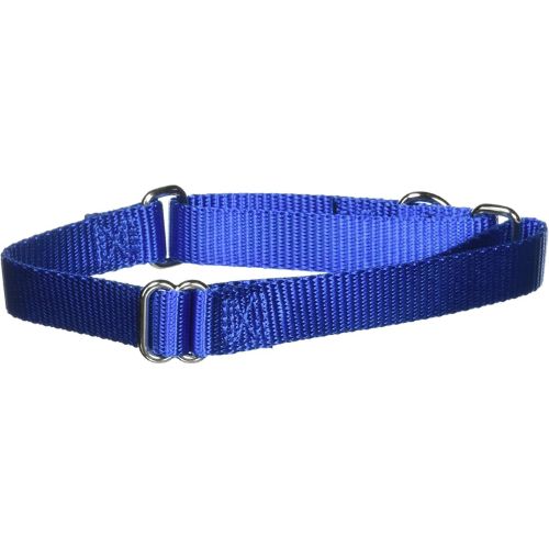 PetSafe Adjustable Martingale Collar