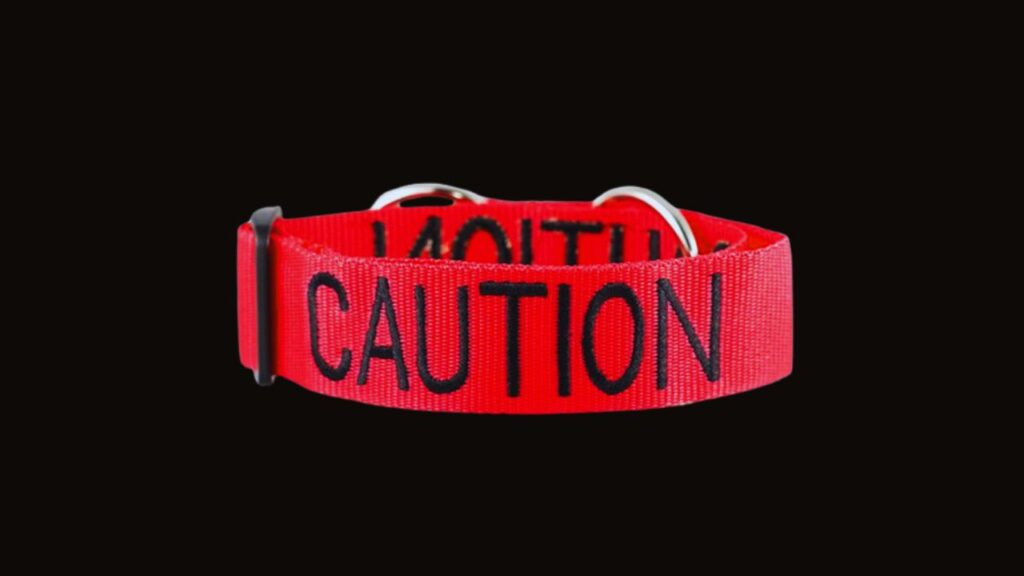 Red Dog Collar – Caution