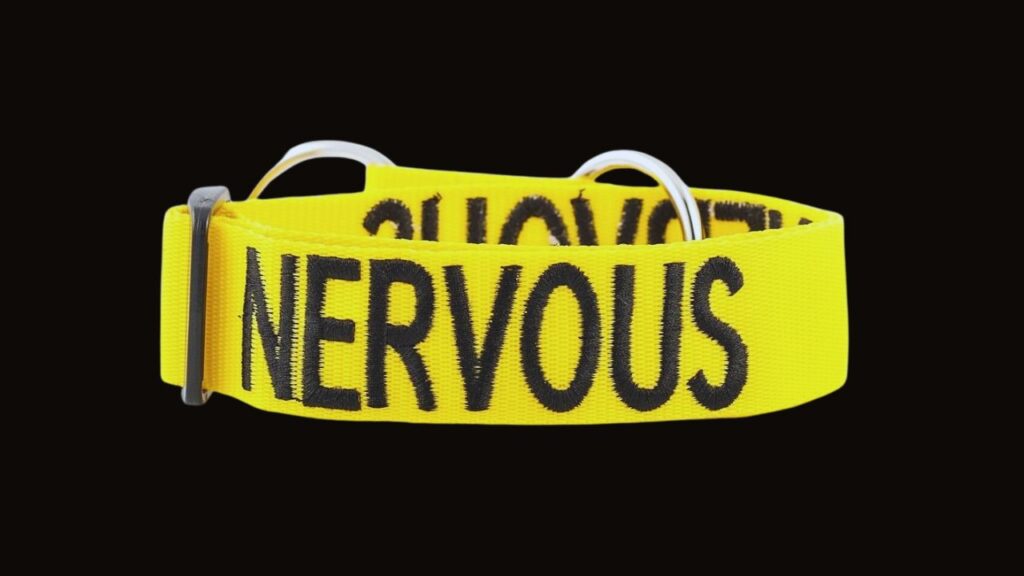 Yellow Dog Collar – Nervous/Adoption