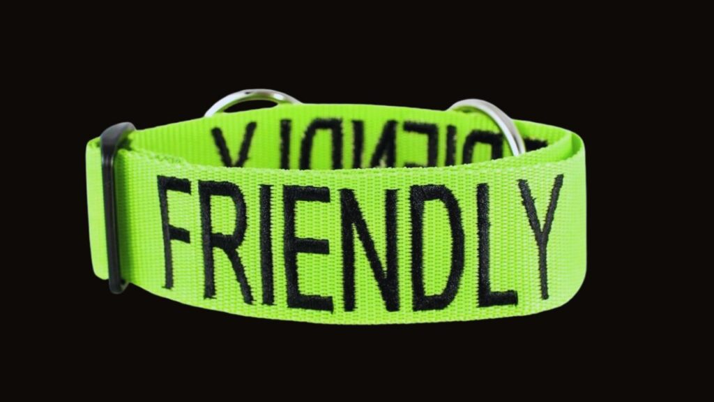  Green Dog Collar – Friendly