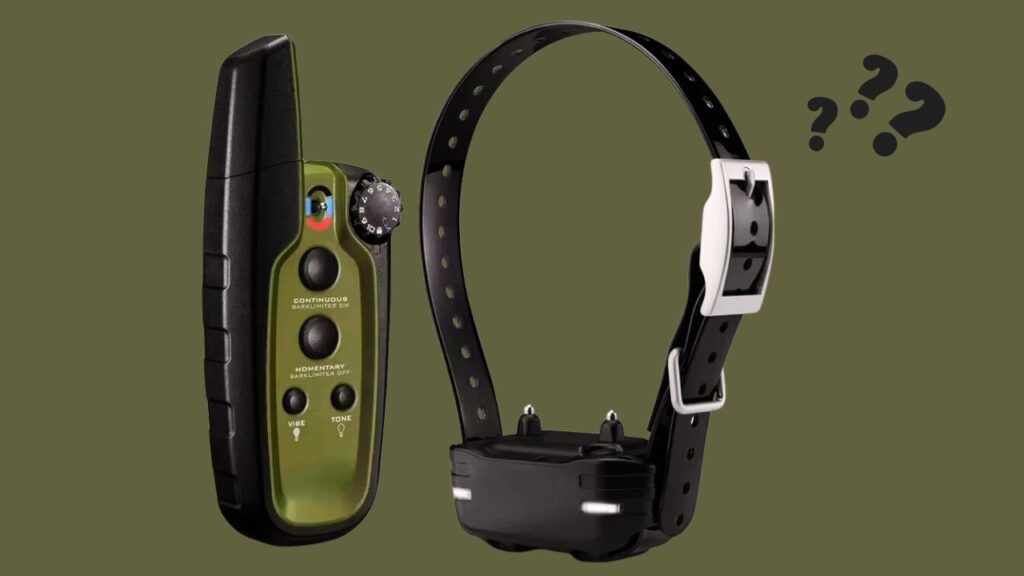Choosing the Right Waterproof E-Collar