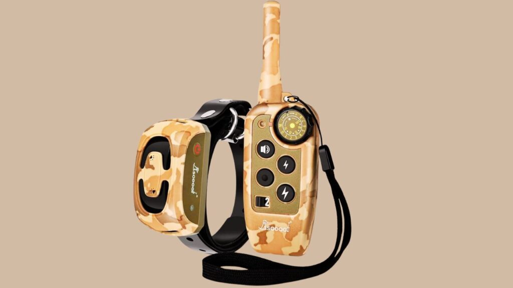 The Benefits of Using a Waterproof E-Collar
