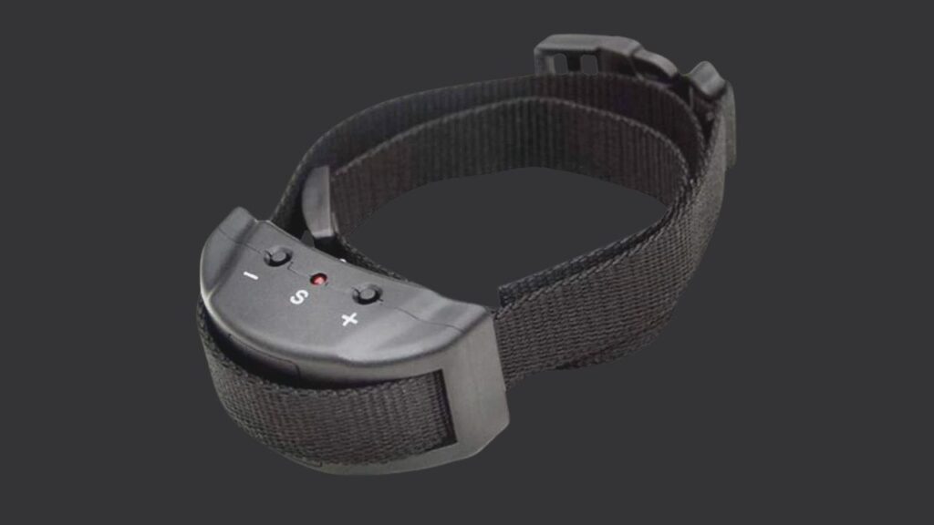 What Are Anti-Bark Collars?