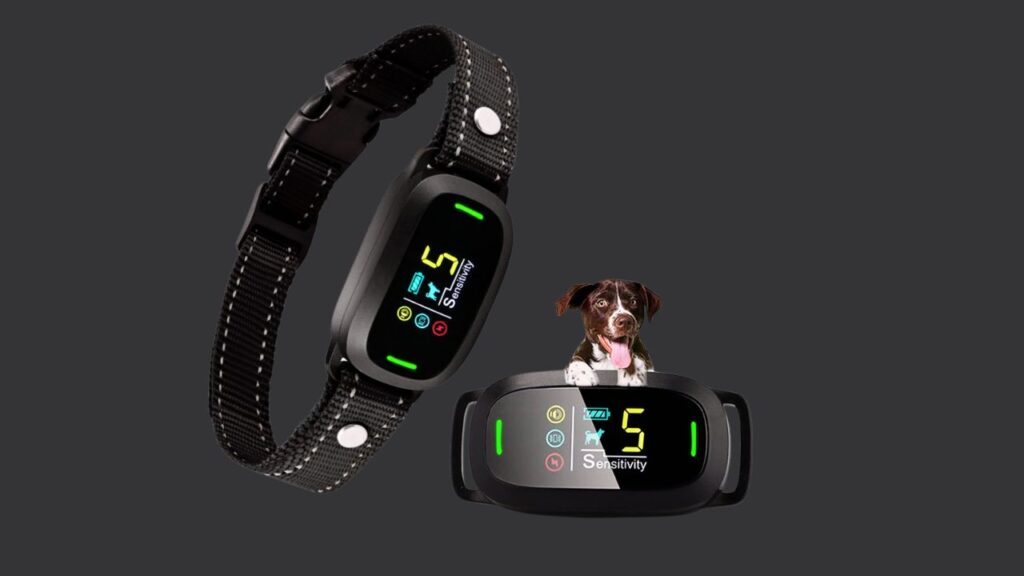 Are Barking Collars Effective?