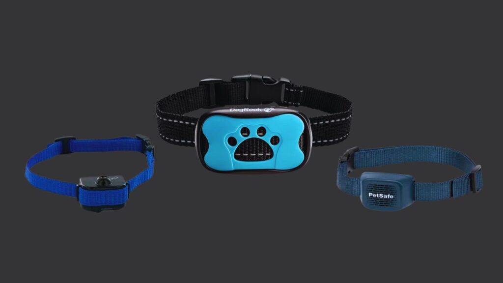 What Are the Types of Bark Collars?