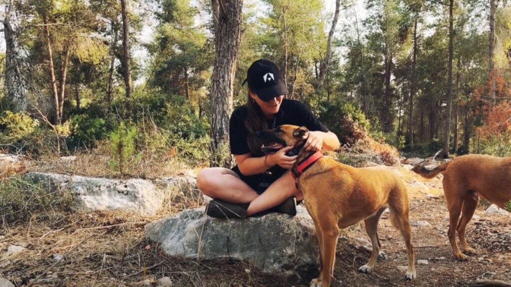 How to Properly Use a Bark Collar?