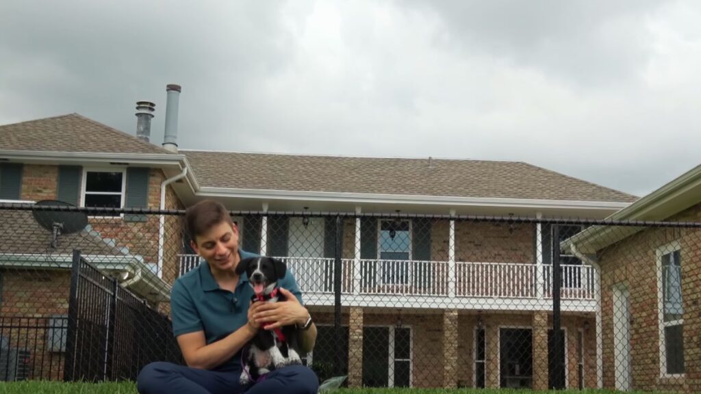 How Can I Calm My Dog During Thunderstorms
