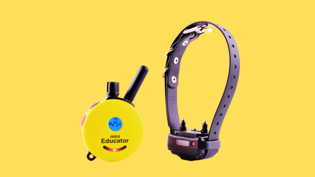 What Is an E-Collar?