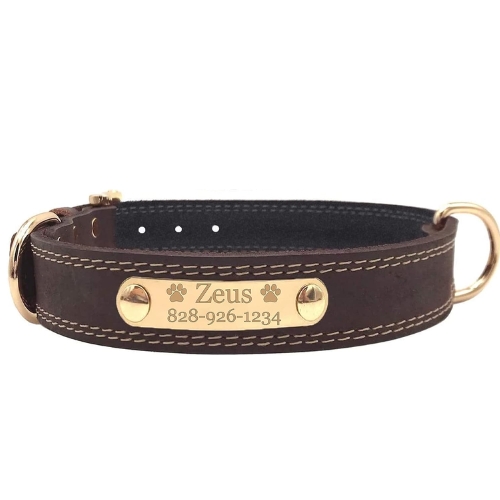 Express Personalized Dog Collar