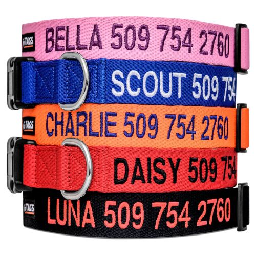 GoTags Personalized Dog Collar