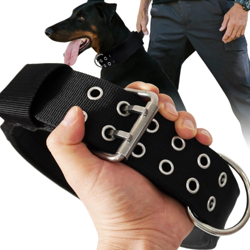 HQSHNY Large Dog Collar