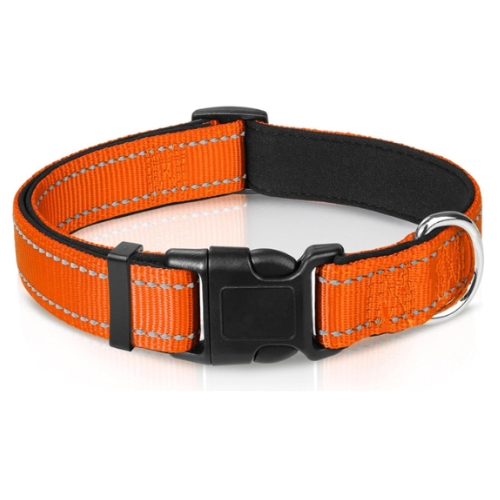 Joytale Dog Collar