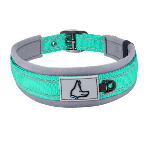 Joytale Neoprene Padded Dog Collar