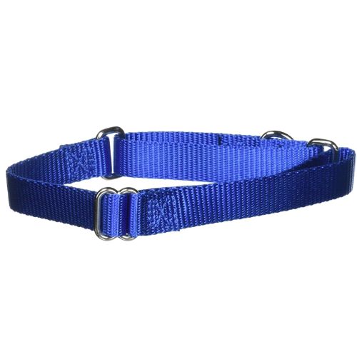 PetSafe Adjustable Martingale Collar