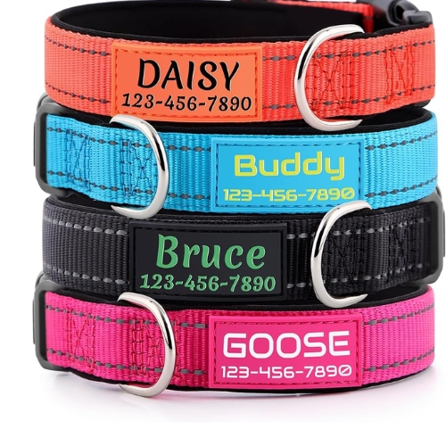 Plutus Personalized Dog Collar