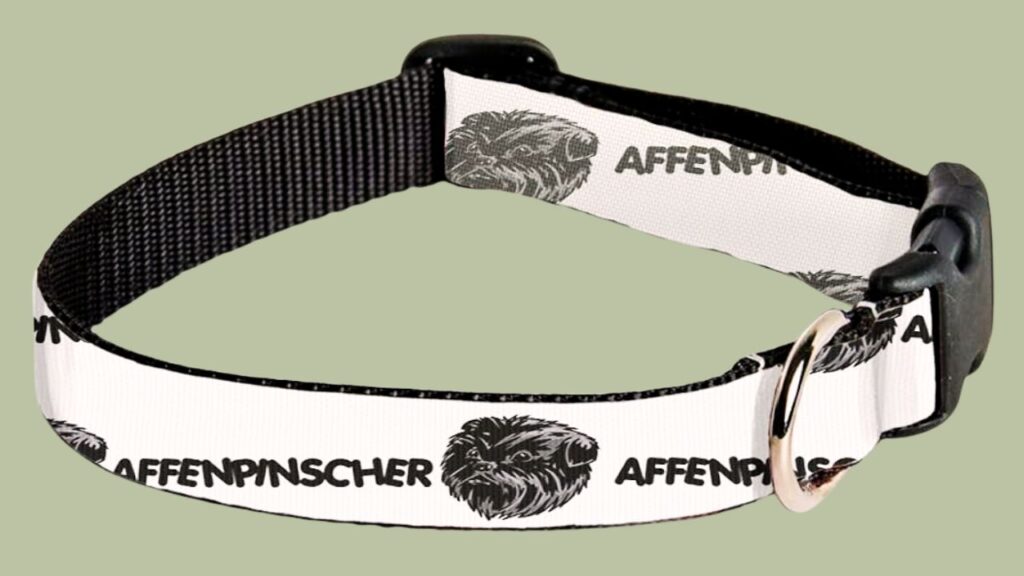 What Size Collar for an Affenpinscher 