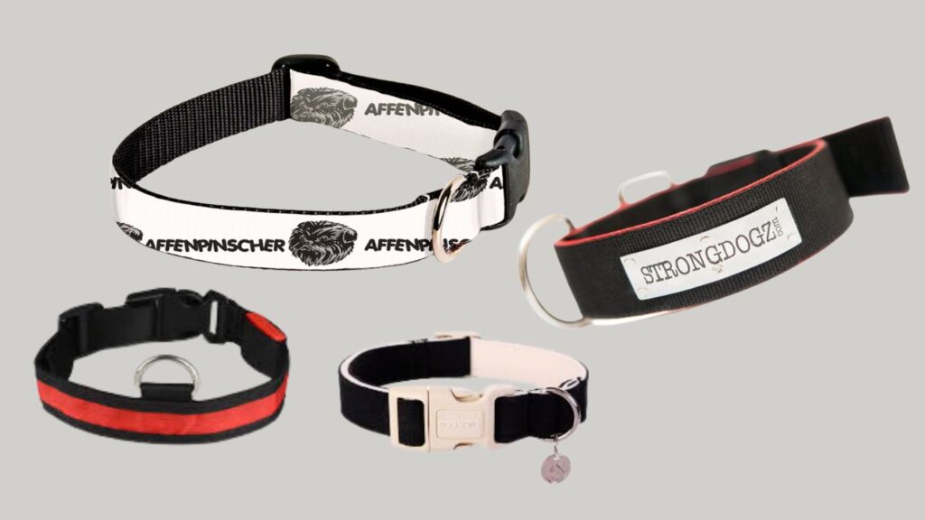 Types of Collars for Affenpinschers