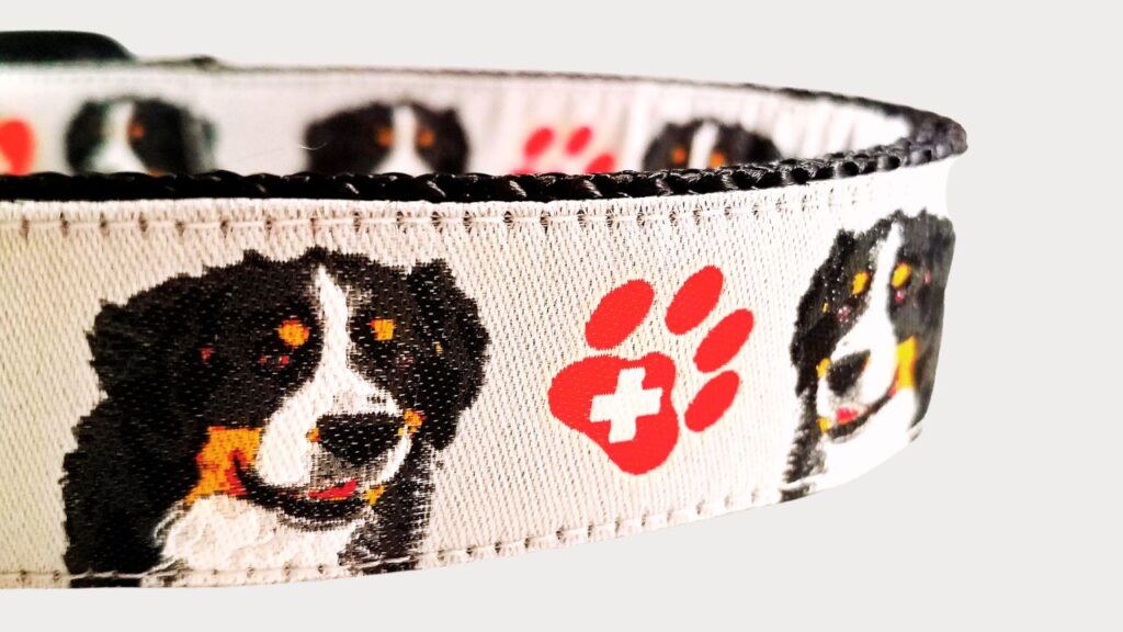 Types of Collars for Bernese Mountain Dogs