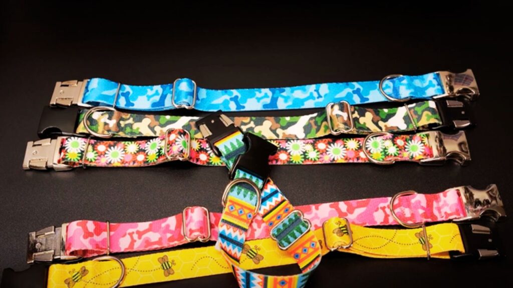 Flat Buckle Collars