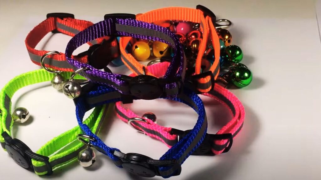 Breakaway Collars: Safety Indoors and Outdoors