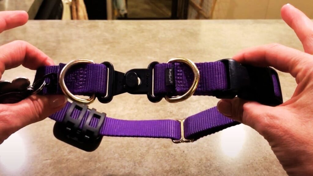 Breakaway Collars: