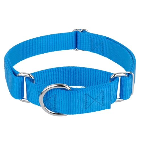 Country Brook Petz Martingale Dog Collar