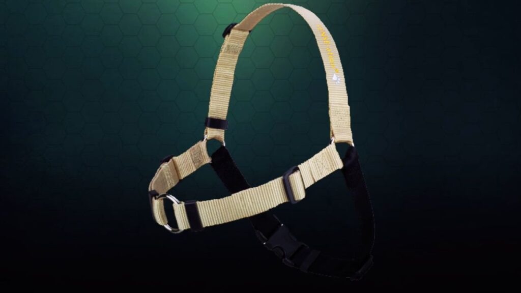 Harnesses