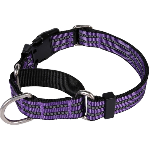 Joyeeiioo Martingale Dog Collar