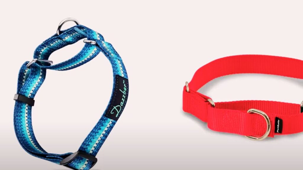 Martingale Collars: For Training and Control