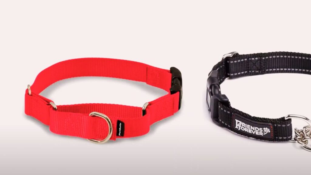 Martingale Collars: For Training and Control