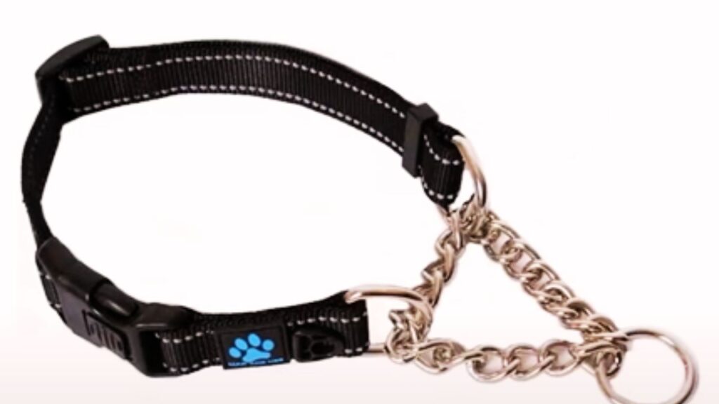 Martingale Collars: For Training