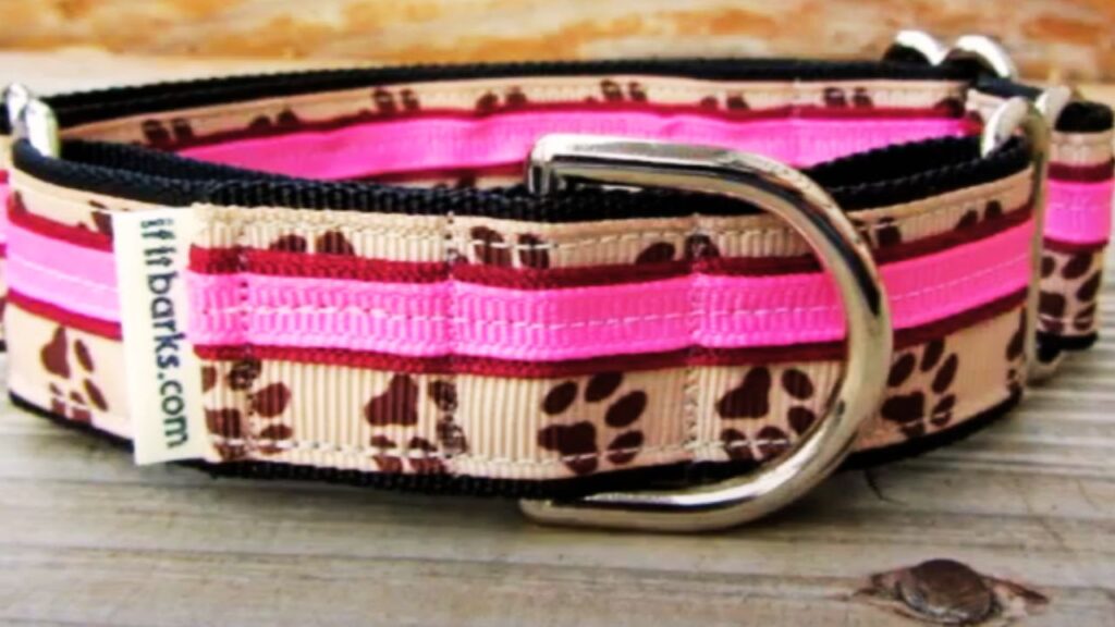 Martingale Collars