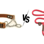 Martingale vs Slip Lead Collar