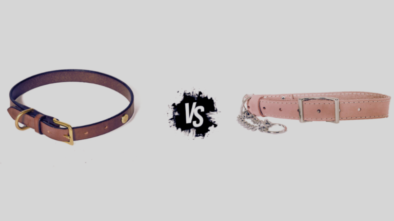 Flat Collar vs Martingale Collar: Which One to Choose?