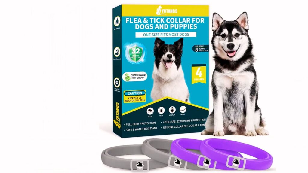 Flea Collars