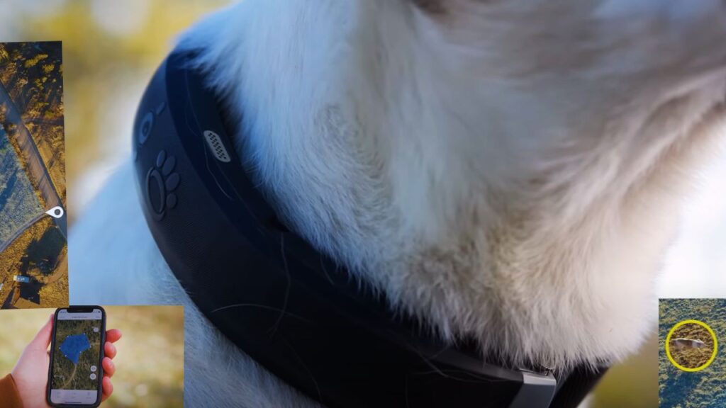  How Do Halo Dog Collars Work?