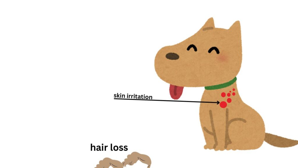 Long-Term Effects of Flea Collars