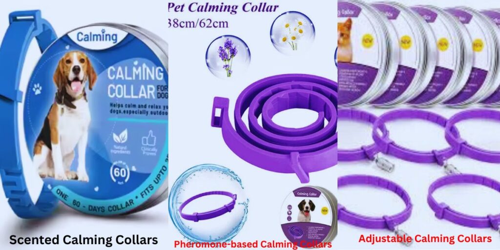 Popular Dog Calming Collar Types