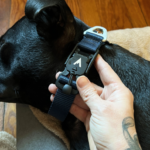 How to Make Dog Collars: A Step-by-Step DIY Guide