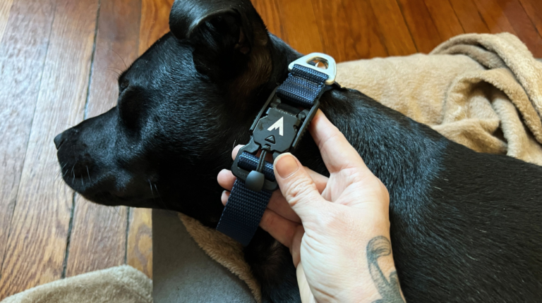 How to Make Dog Collars: A Step-by-Step DIY Guide