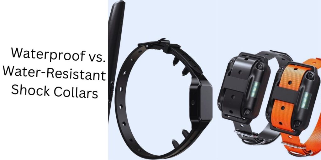  Waterproof vs. Water-Resistant Shock Collars