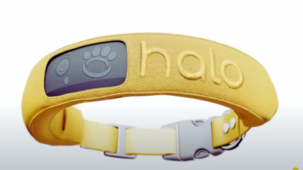 What is a Halo Dog Collar?