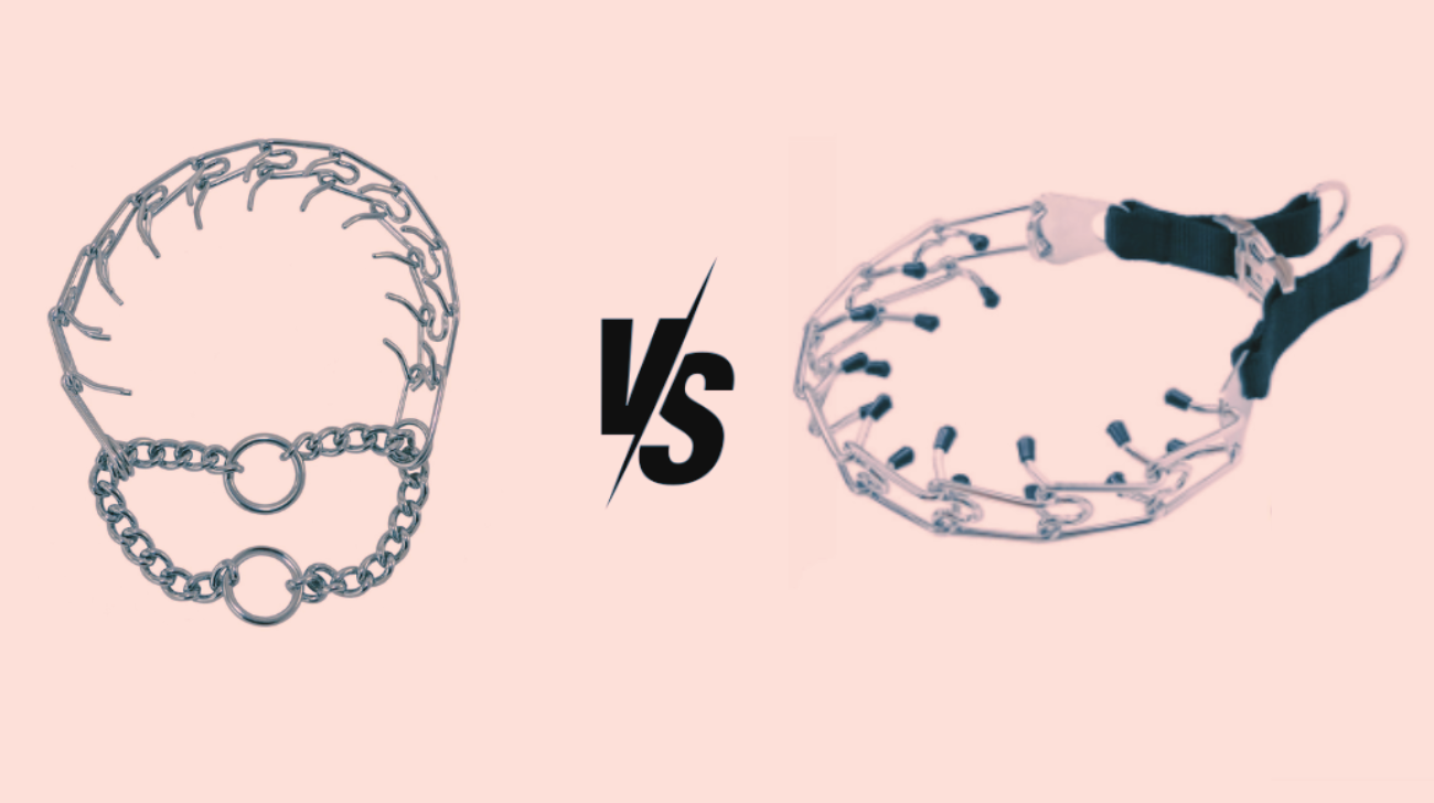 Pinch Collar vs Prong Collar: What Is The Major Difference?