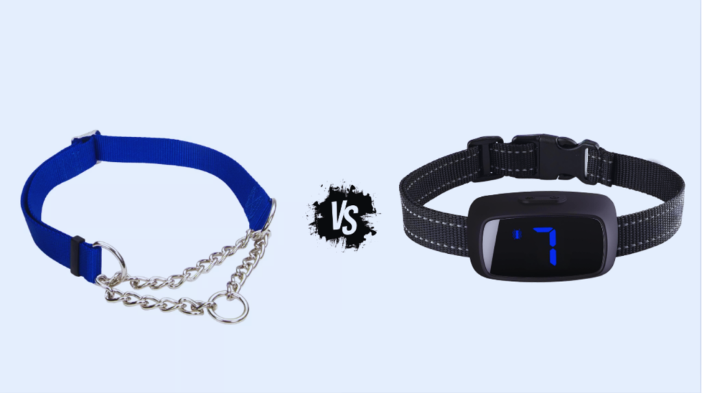 Differences Between Training Collar vs Bark Collar