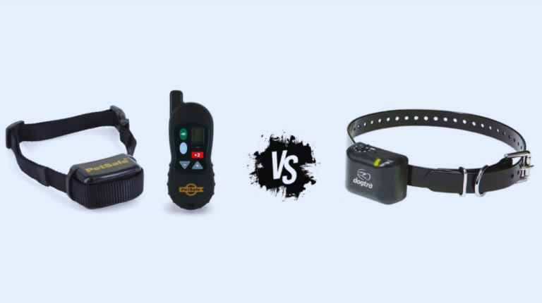 Vibration Collar vs Shock Collar: What to Choose?