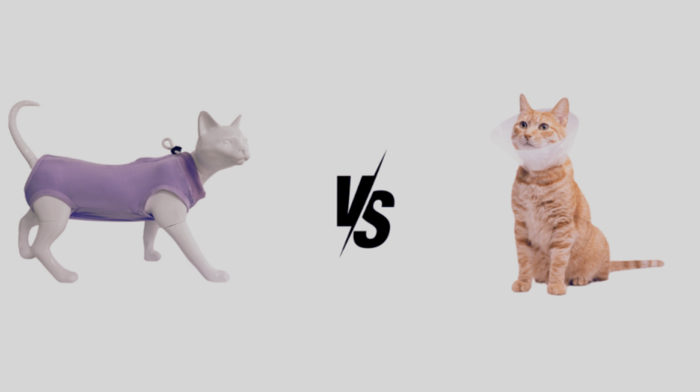 Recovery Suit vs Cone Cat: What’s the Difference?