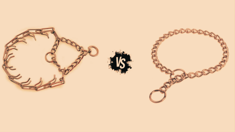 Prong Collar vs Choke Chain