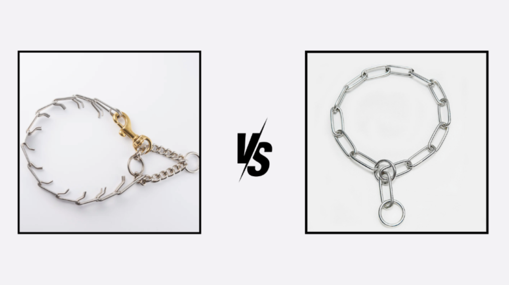 Why choose from prong collars and choke chains