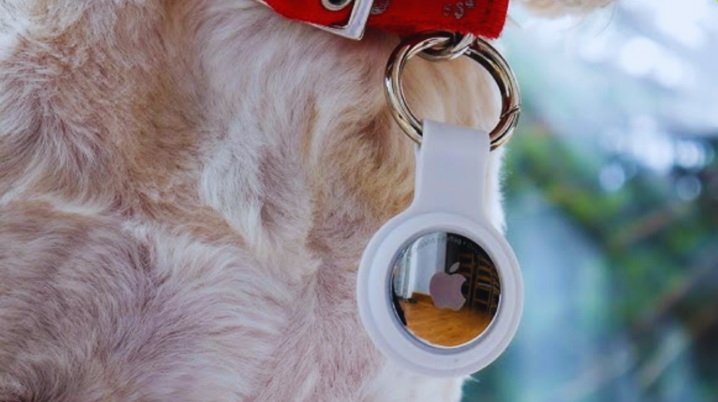 Apple AirTags on dogs